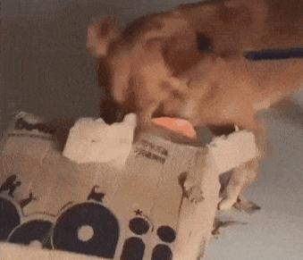 这十大鸡肋彩妆别说你还在用,彩妆雷品有哪些