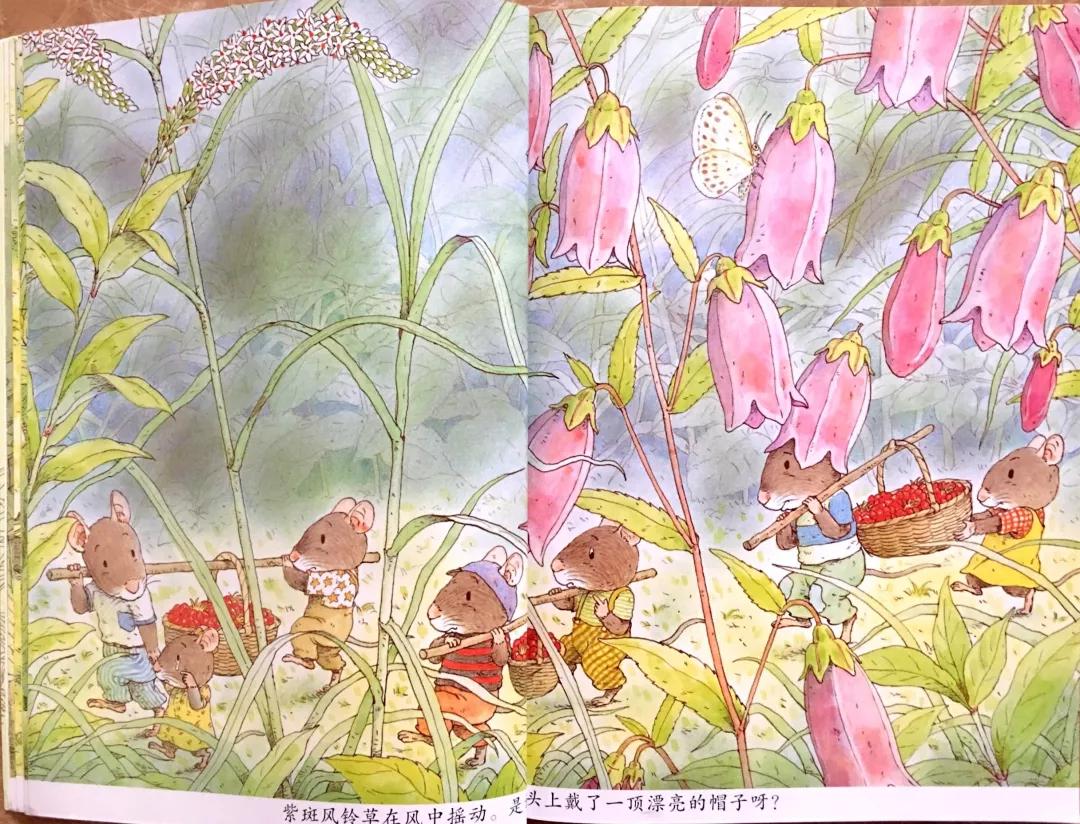有声绘本故事14只老鼠去春游,有声绘本14只老鼠过冬