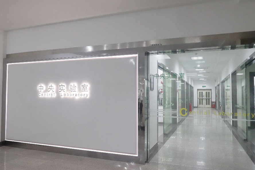 大宝漆中国十大品牌排名,大宝漆系列大全