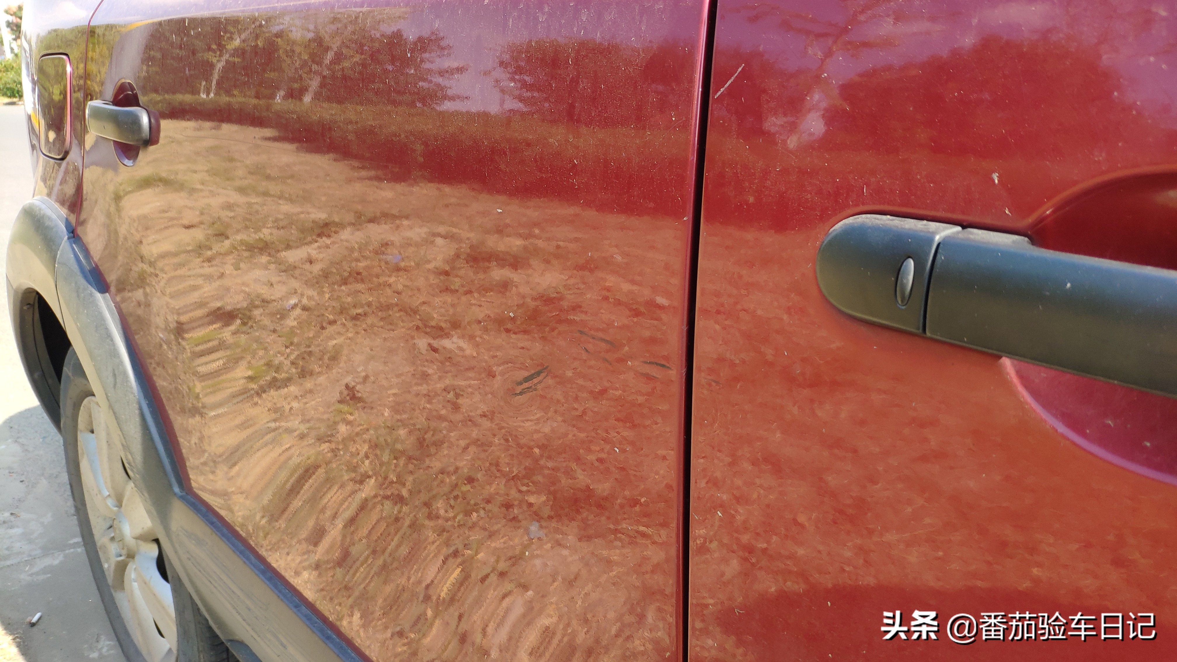 苍天饶过谁十年后的报应,苍天饶过谁节选