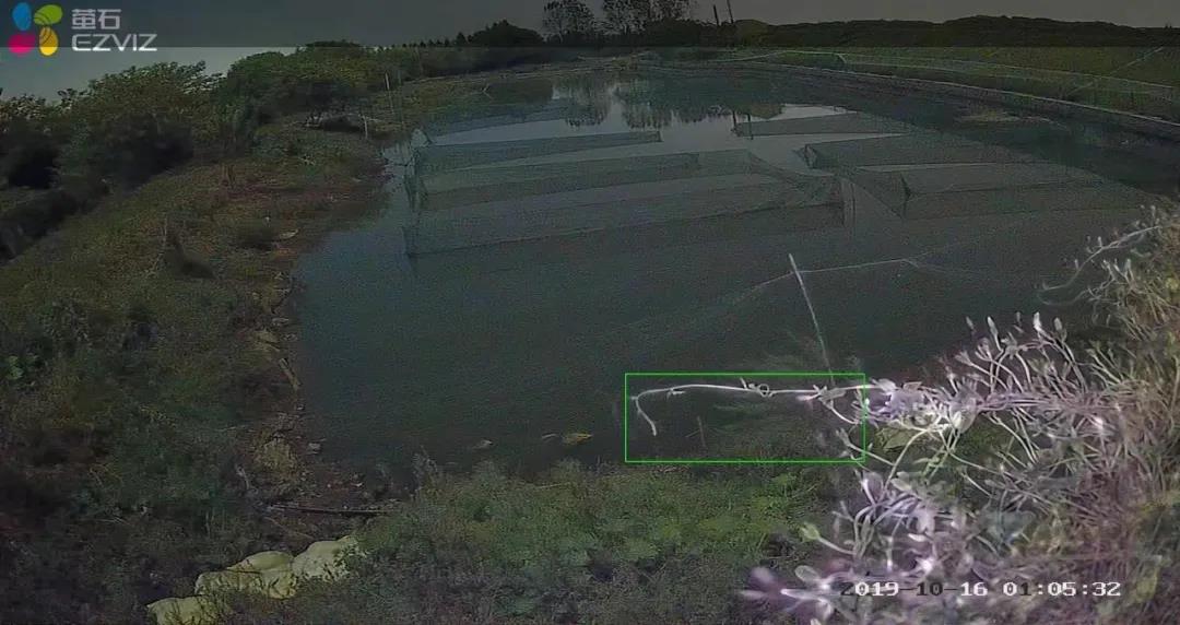 鱼塘摄像头多少钱一台,鱼塘监控无网无电怎么安装摄像头