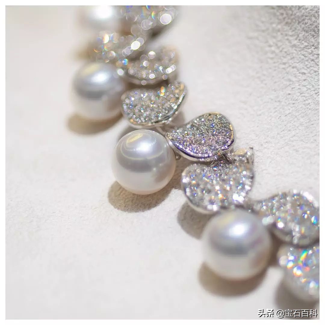 澳白珍珠和南洋金珍珠,澳白南洋白珍珠