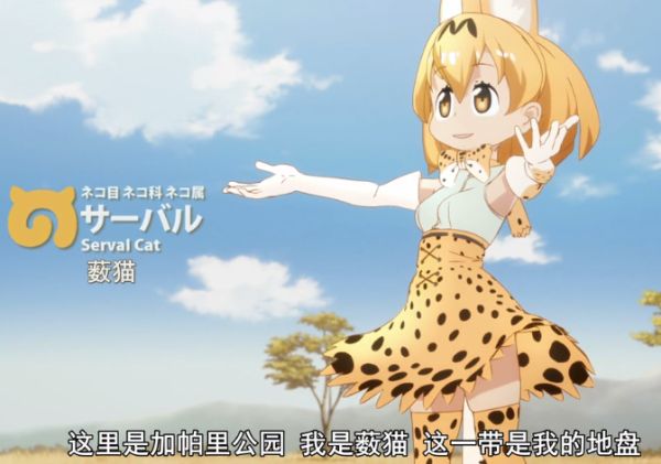 薮猫可以养吗,萨凡纳猫薮猫