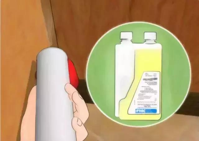 目前最有效的灭蟑螂方法,四种灭蟑螂的方法哪种更适合你