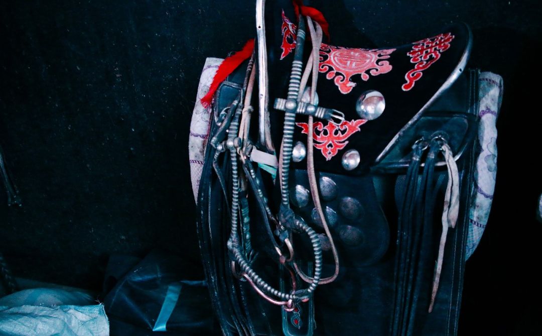 马匹用具介绍,马匹种类介绍