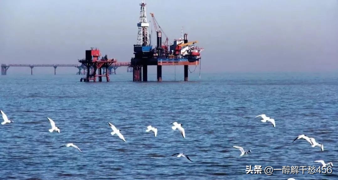 为什么我劝你别当海员,为什么很多人劝不要做海员