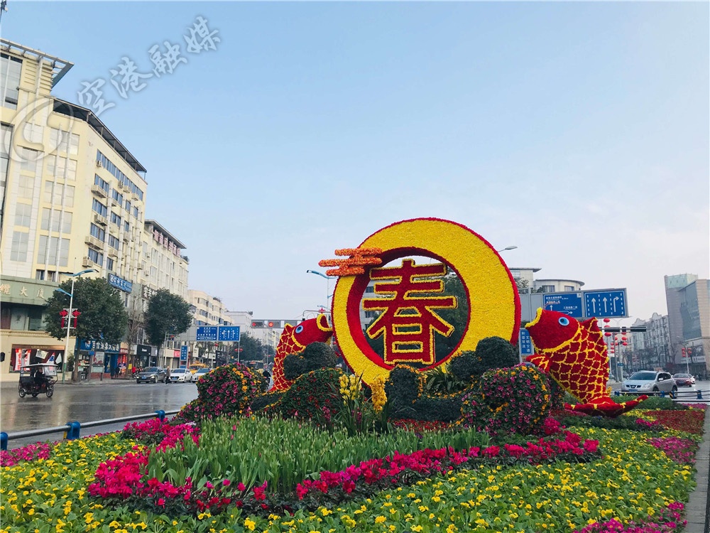 成都双流最新新闻,未来的双流会变成什么样子