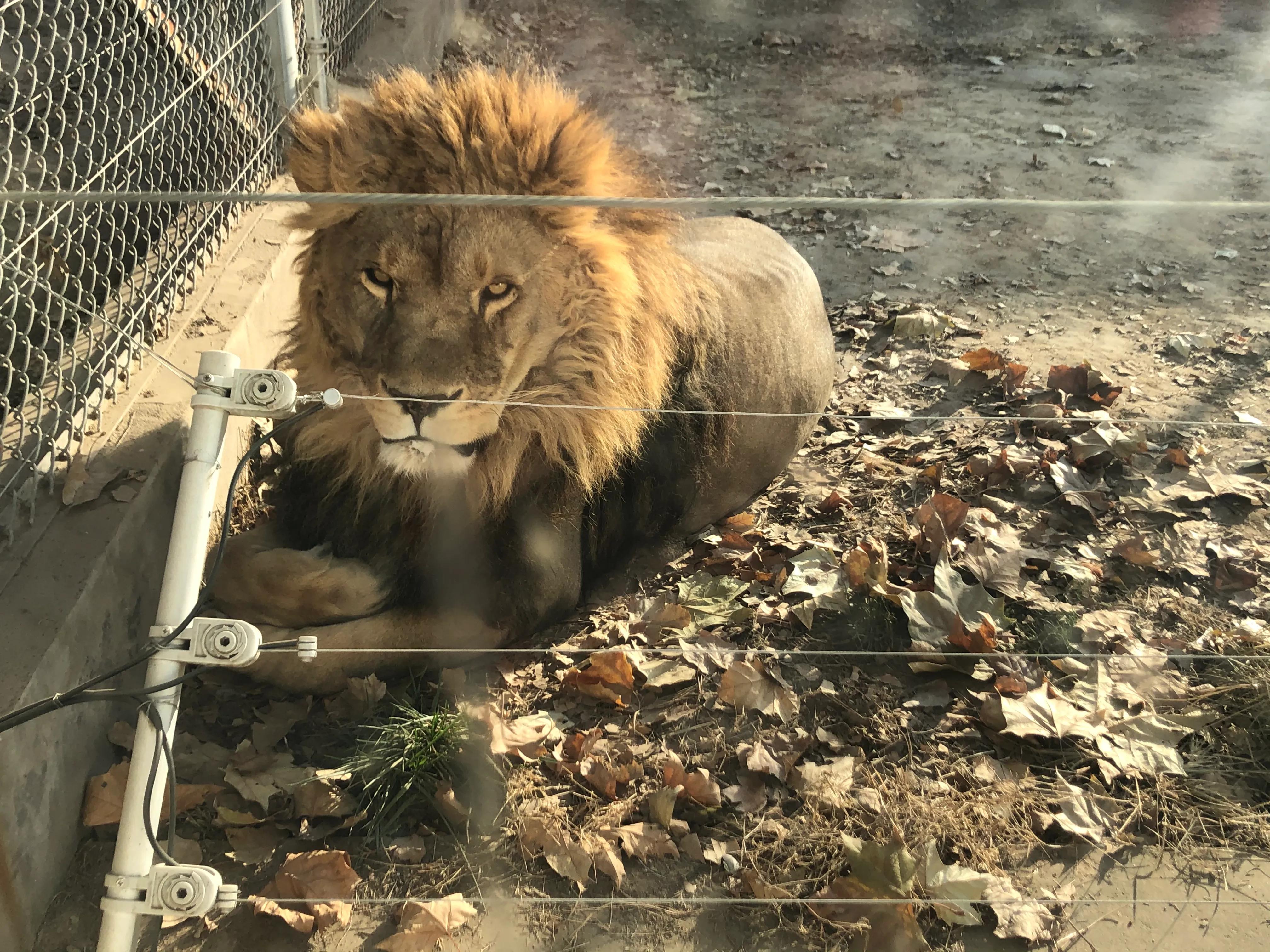 平顶山河滨公园旅游攻略,平顶山森林公园游记
