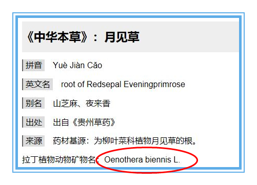 月见草油不适合哪些人吃,月见草油正常人可以吃吗