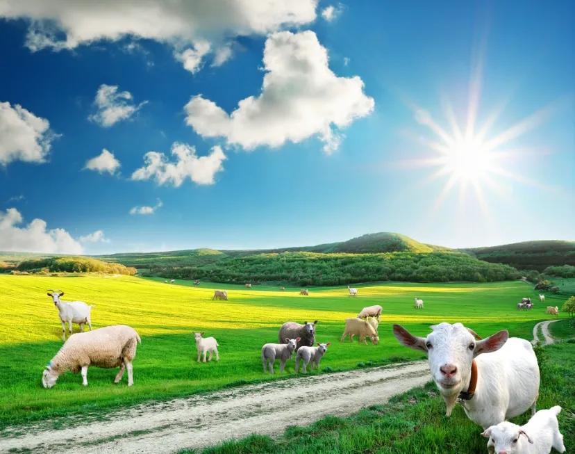 宝妈不知道给孩子喂水,宝妈奶粉千万不要这样喝