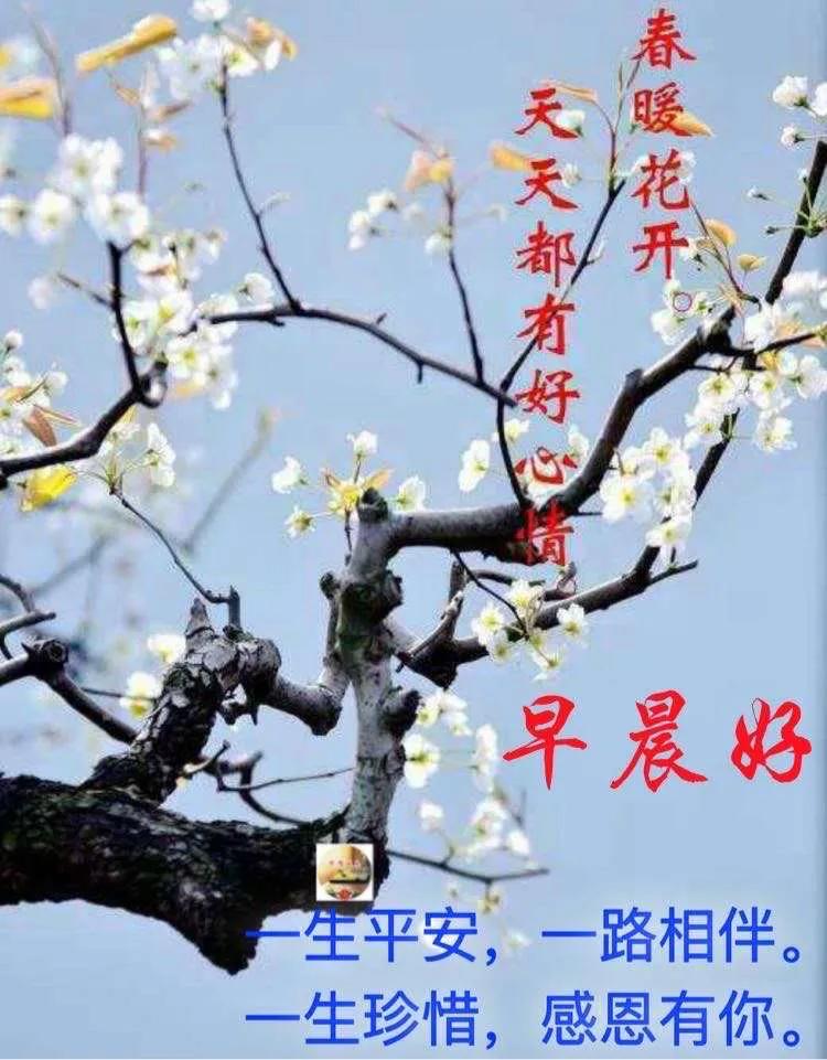唯美好看的早安图片带祝福语,暖心早安祝福唯美图片带字
