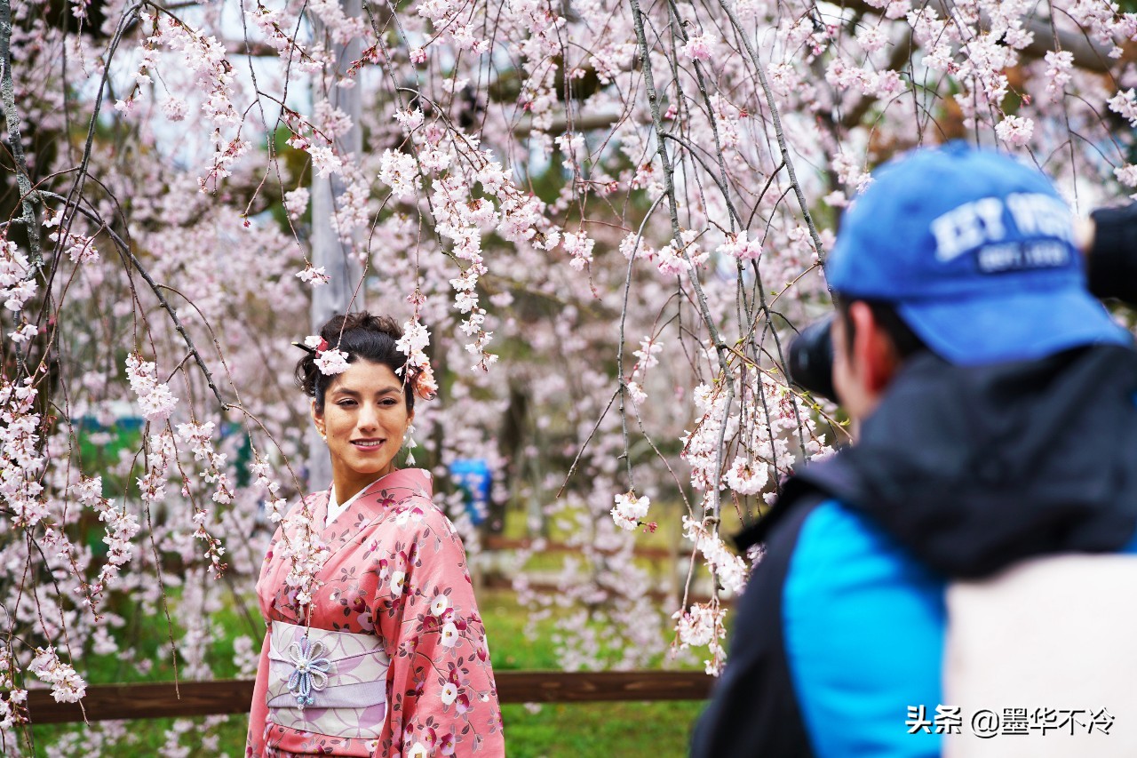 京都一眼千年的美景,京都永恒的美