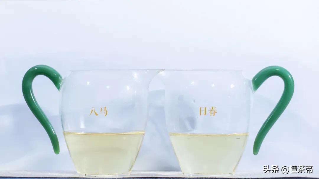 日春对比八马谁的铁观音更好,八马清香型铁观音测评