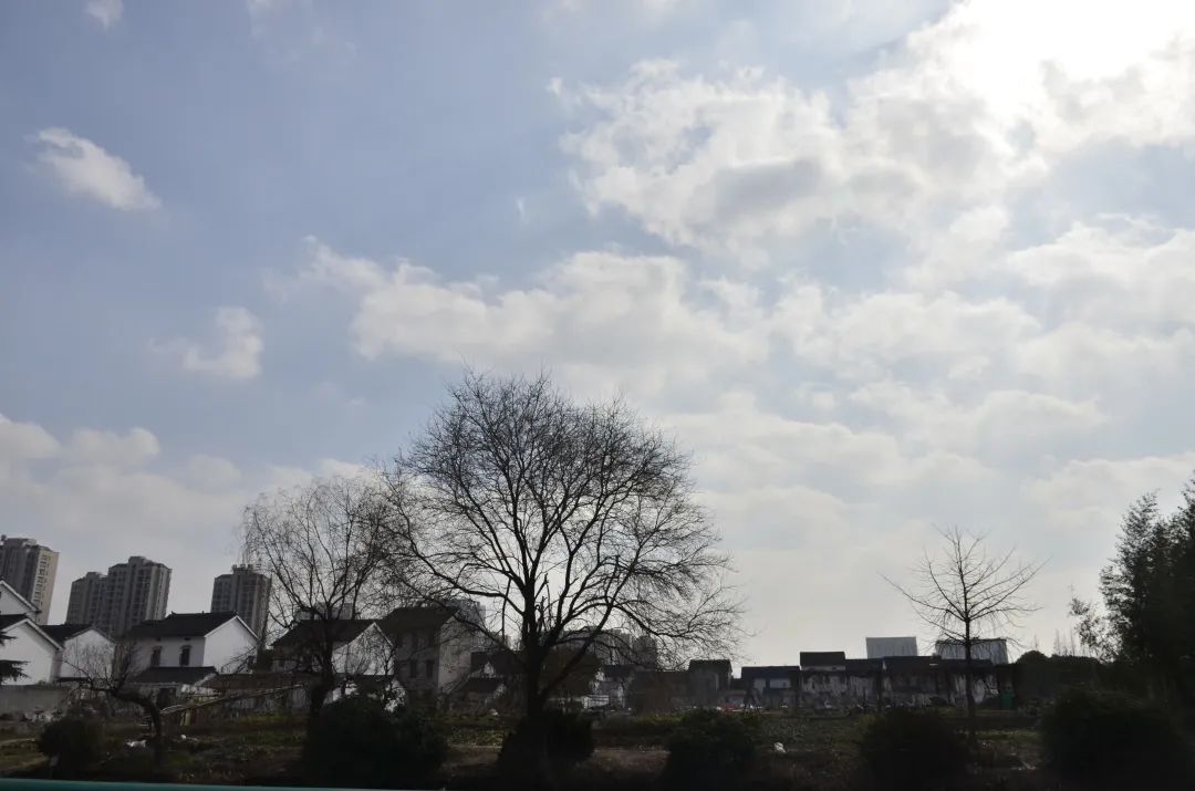 孙侨潞到底最后怎么样了,孙桥为什么发展慢