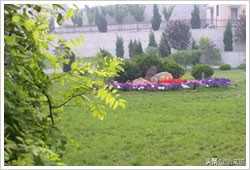 大连市金州区24中学,大连育明高中有多好