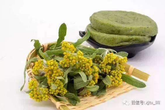 鼠曲草故事,鼠曲草的缺点和危害