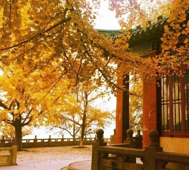 南京天空之镜高清图,中国五大惊艳世界的城市