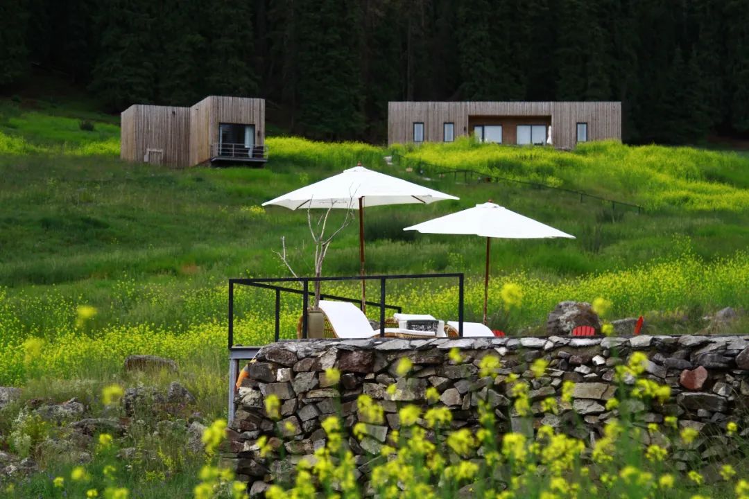 霸气!提前2月预定,仅15间客房,*疆新**这个酒店,够野还够奢