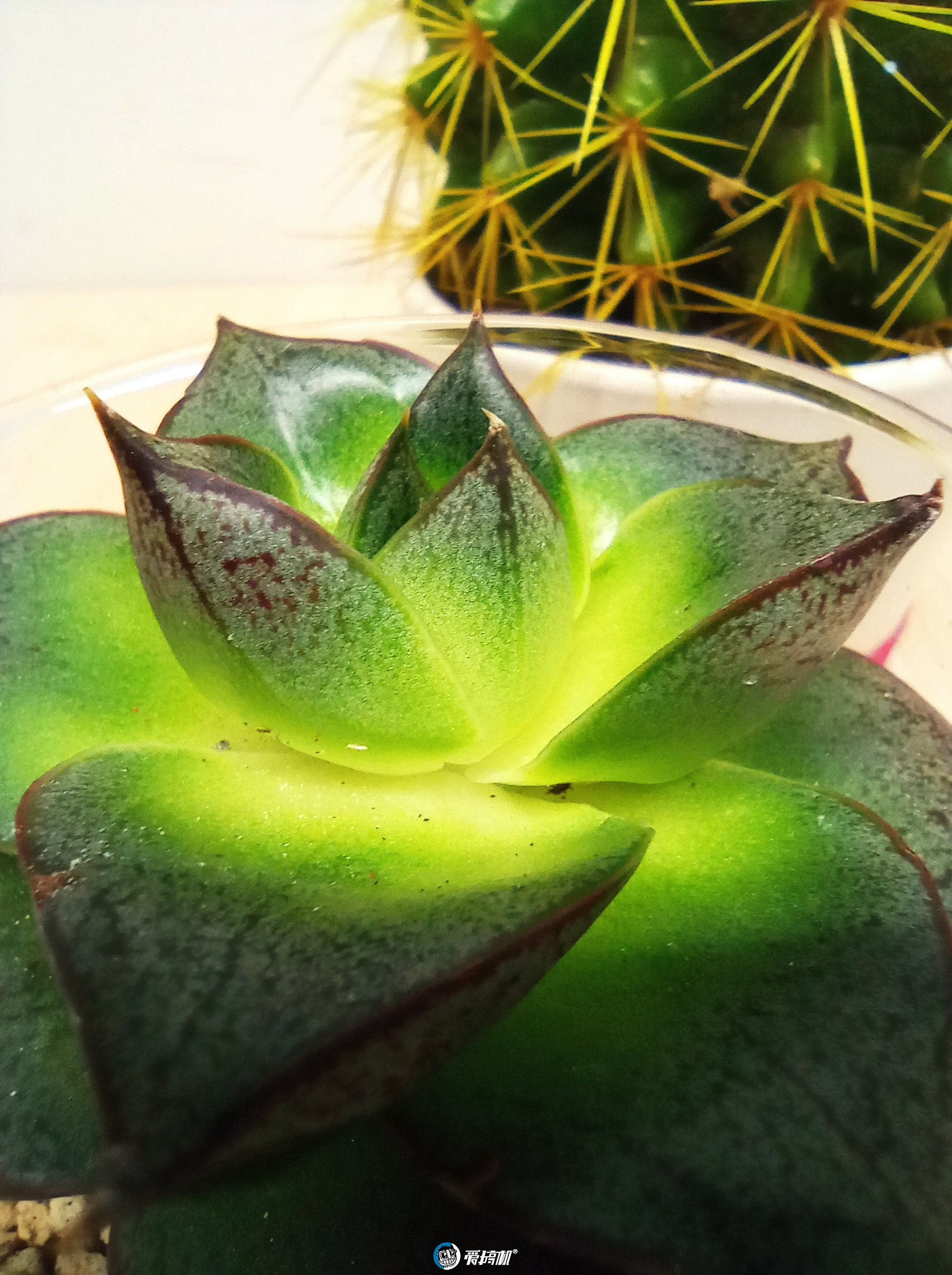 红米redmi哪款值得入手,红米redmig2020测评