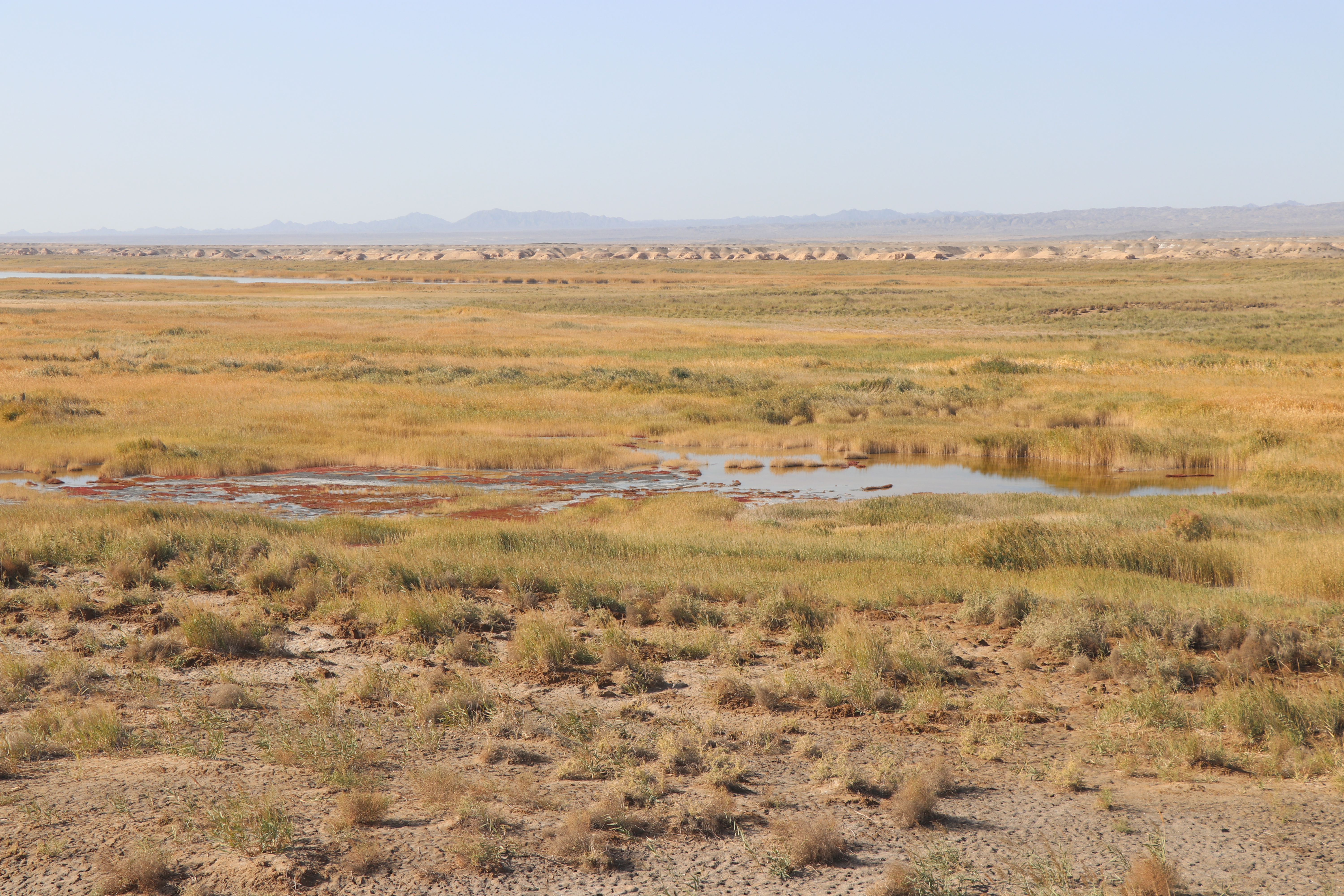 敦煌旅行攻略,敦煌莫高窟之行