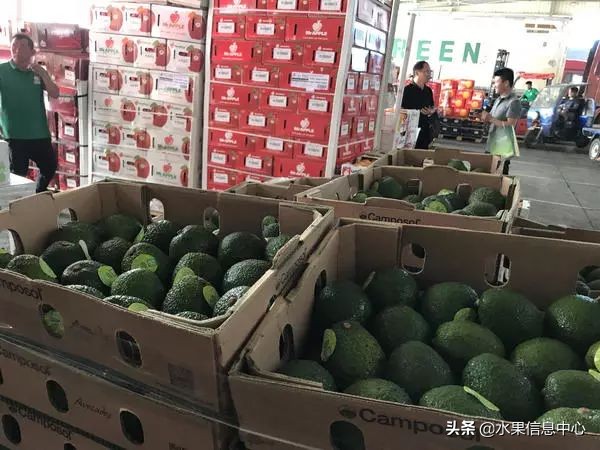 水果市场打拼的女人,卖水果的女人们