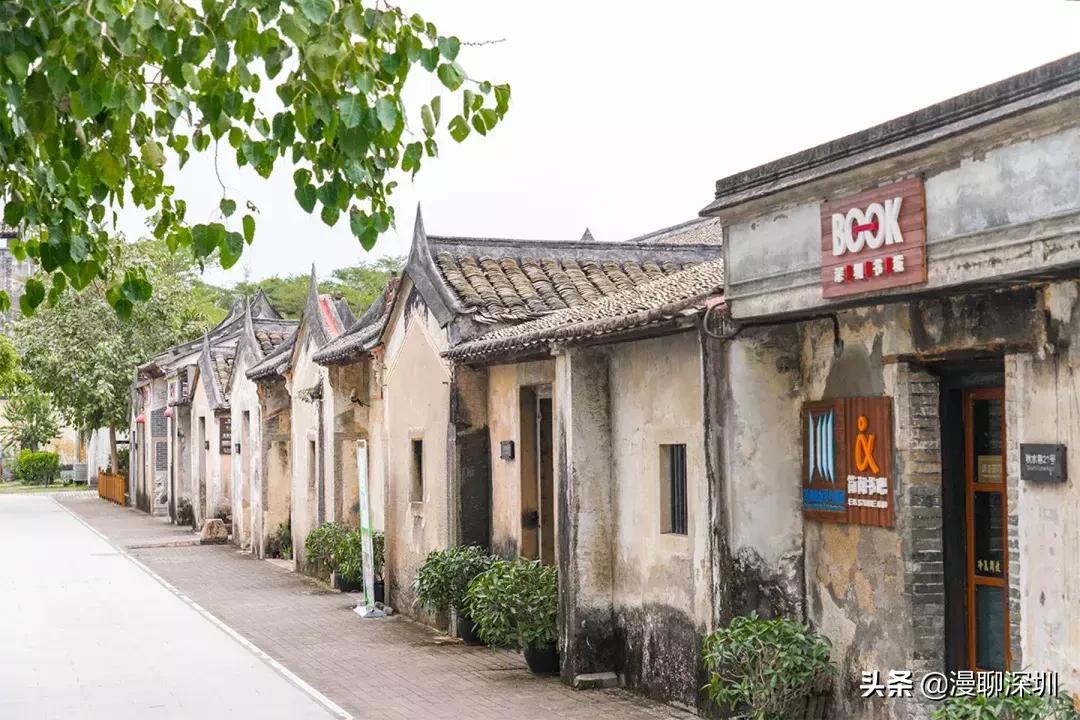 行走深圳歌曲,深圳观澜攻略