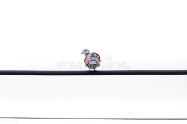 情绪上头的那一刻再也绷不住了,情绪上来的那一刻真上头