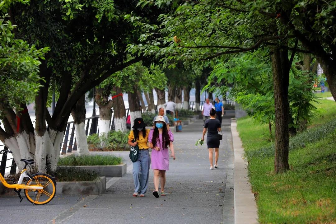 成都城南4条最美街道,成都天府新区风景优美的地方