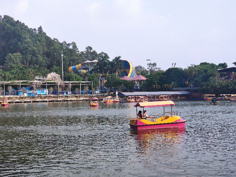 警惕老公打牌，过度娱乐，既可能毁坏身体，又可能毁坏夫妻感情