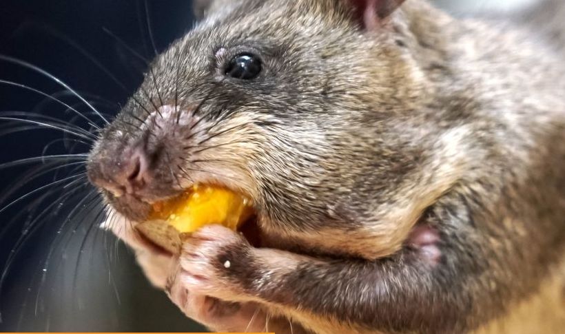 心理学为什么人类天生怕蜘蛛,心理学认为人类恐惧的根源