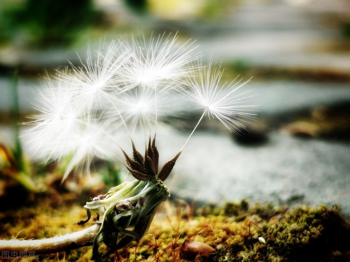 微妙无比——我曾与“玫琳凯”二度撞个满怀，便再也不想见