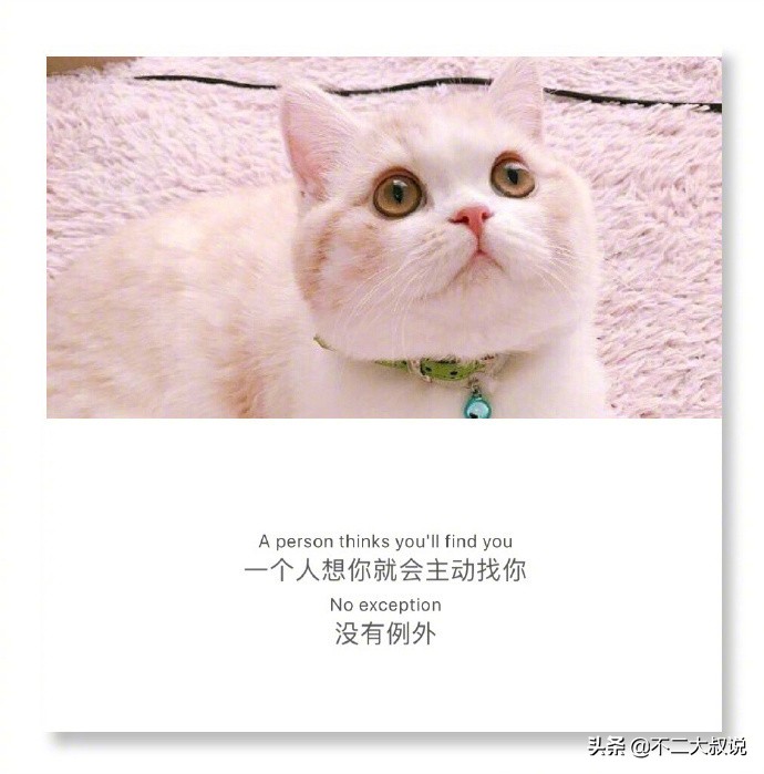 英汉互译的深情句子,中英文唯美爱情句子