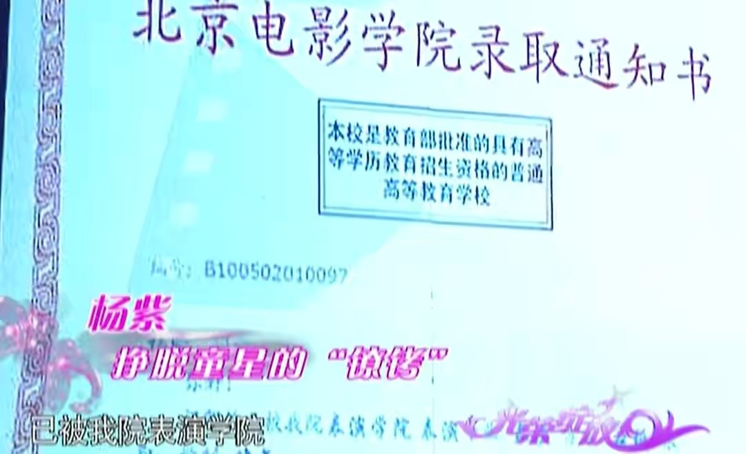 90后顶流小花杨紫,娱乐八卦小花杨紫