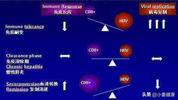 春季护肝的中成药,护肝春季