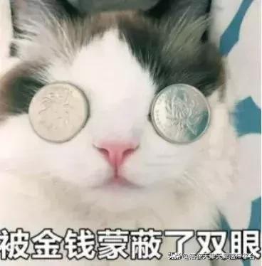 天津滨海新区紫云雅苑房价多少钱,天津滨海新区太平镇房价便宜原因