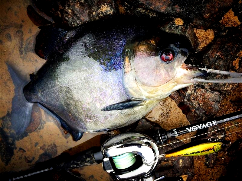 十年前,我只带了一根鱼竿出门,吃遍了世界上的各种顶级海鲜