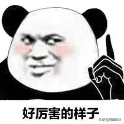 支付宝的年账单是真实正确的吗,支付宝年度账单2018关键词