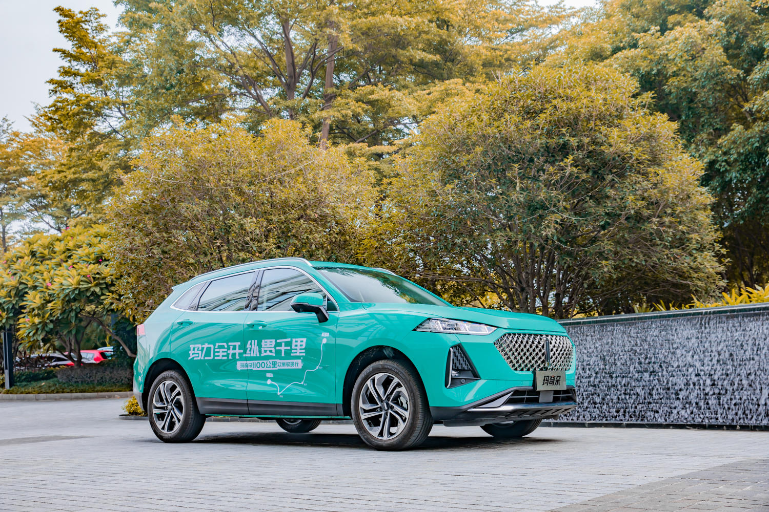 玛奇朵dht-phev油耗,实测油耗6升以下的车