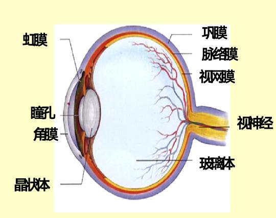 八年级下册生物书知识点,初一下册生物期中知识点
