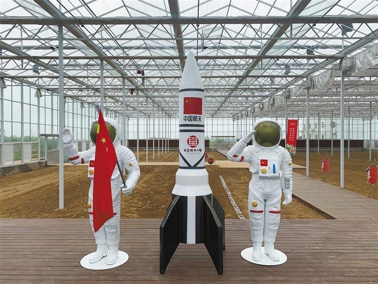 南瓜马车真要来？成都种出200斤巨型南瓜，网友：到底能不能吃？