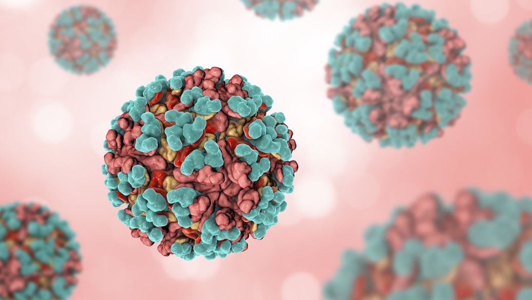 hpv在男性身上存活多久,hpv病毒在男性身上携带多久会消失