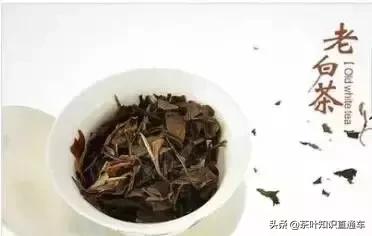 人参九宝茶的功效和禁忌,凤凰单枞茶的功效与禁忌