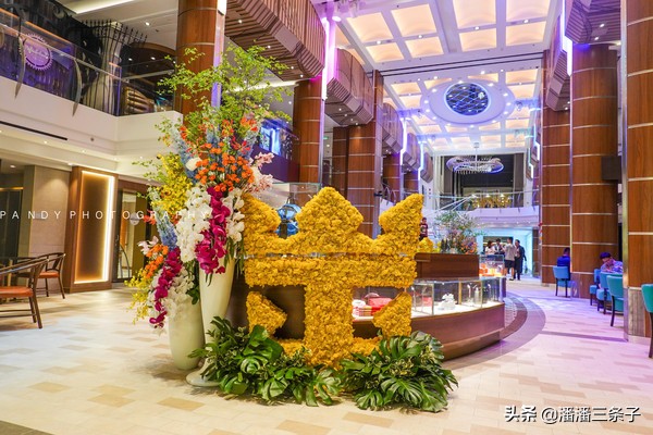 海洋光谱号升级精品游,海洋光谱号转港