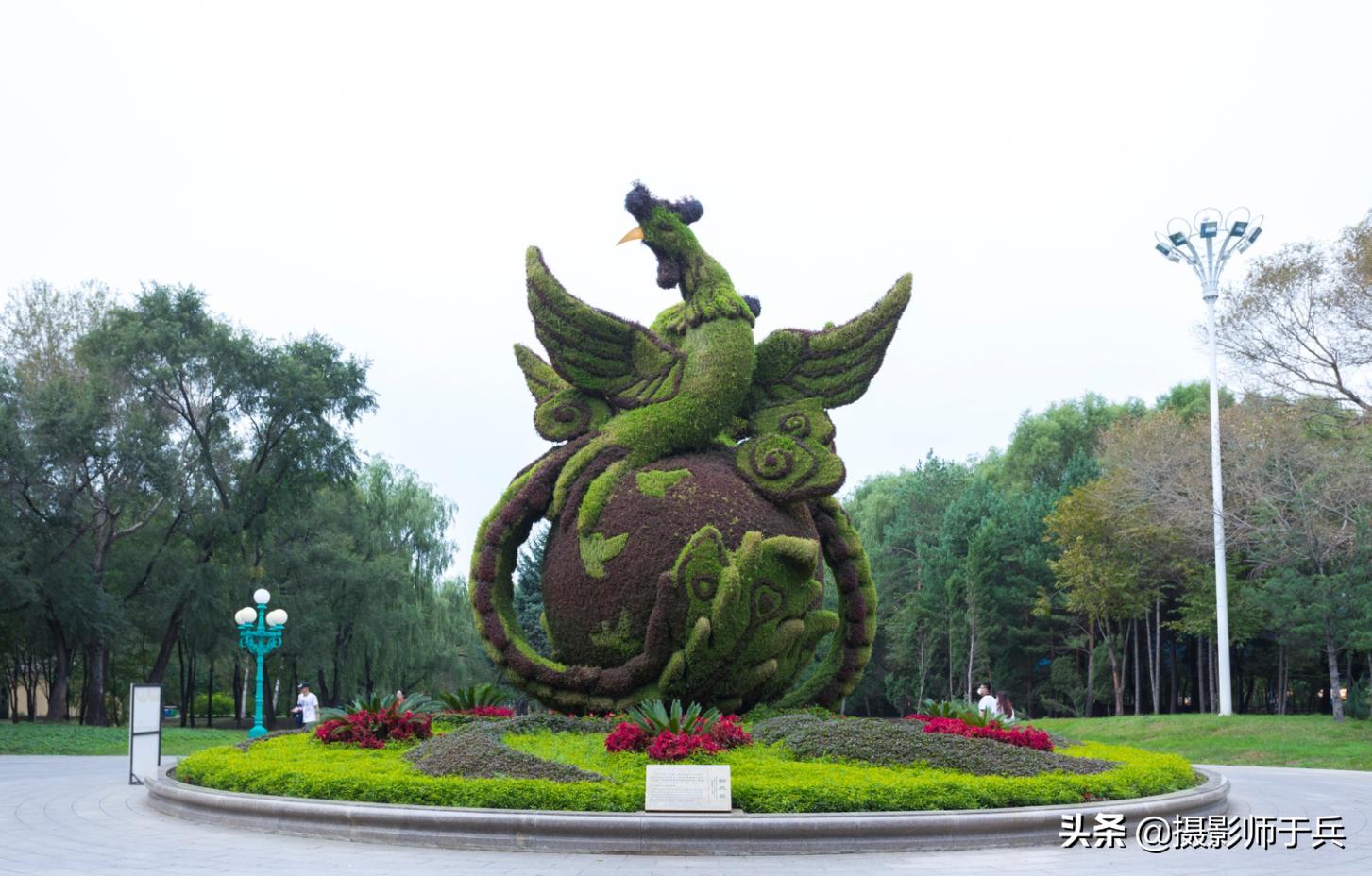 哈尔滨太阳岛美丽的秋色,哈尔滨美丽的太阳岛