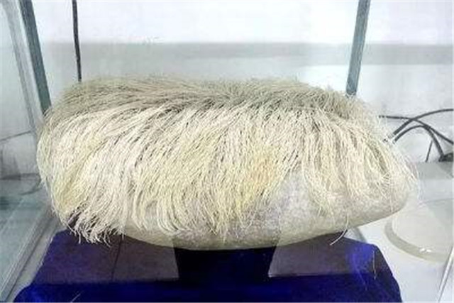 长满白发的石头,长白发的石头鉴定视频