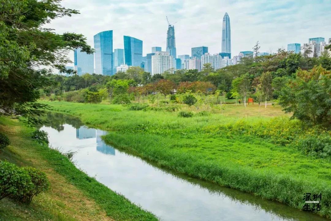 深圳岗厦村居住人口,深圳岗厦村多少人口