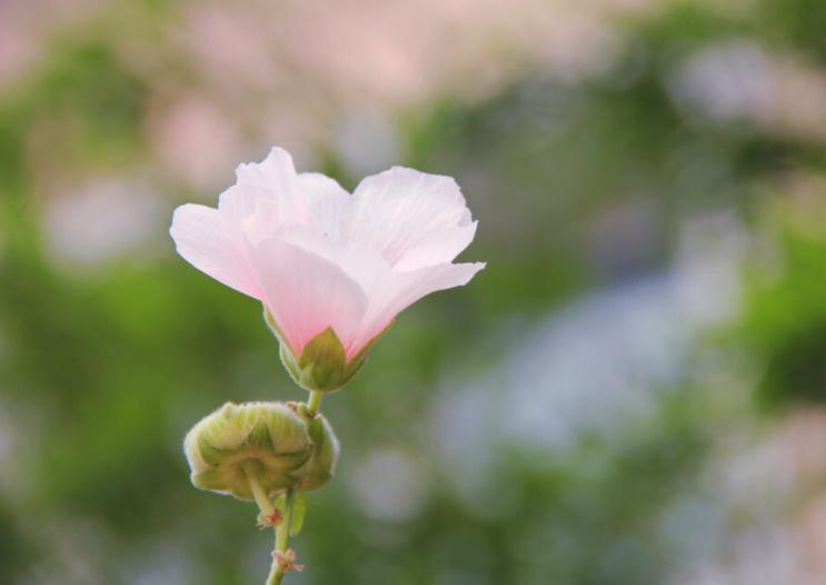如果你爱上了一个有家庭的男人,要学会如此做