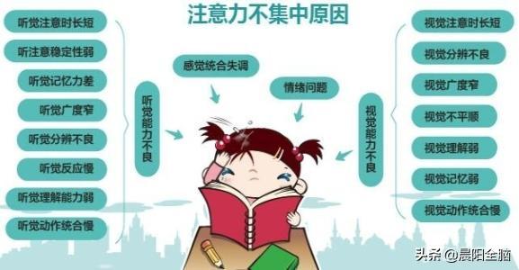 如何集中注意力高效率学习,如何才能集中精神投入学习
