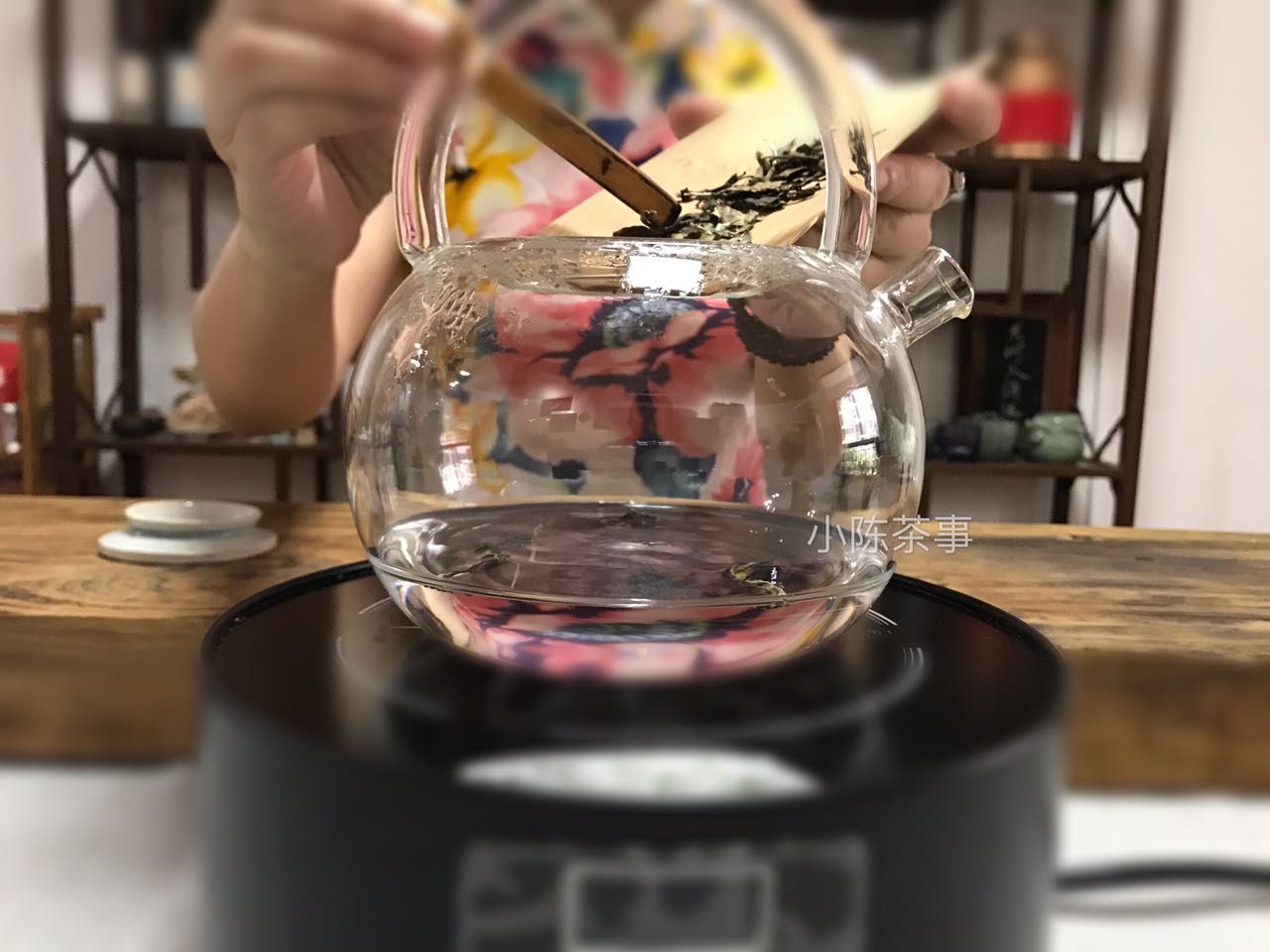 玻璃煮茶壶高颜值,煮老白茶专用什么壶好