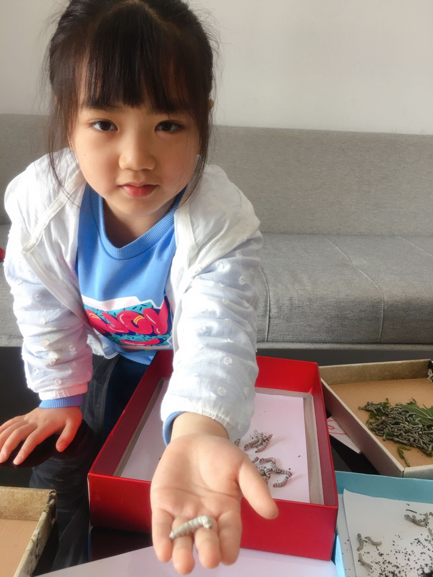 铏叮鍘熸枃,铏叮浣滃搧